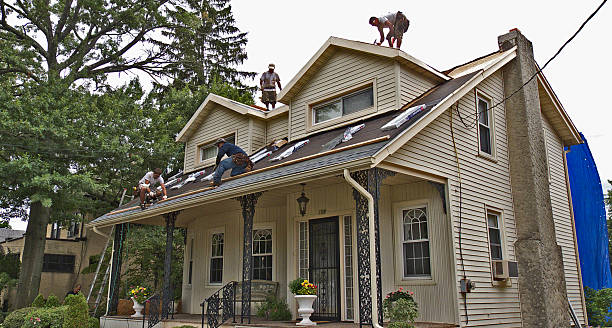 Best Roof Repair Services  in New Baltimore, MI